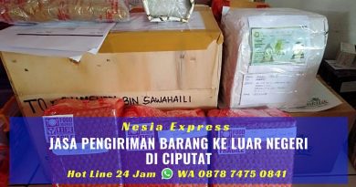 Jasa Pengiriman Barang ke Luar Negeri di Ciputat