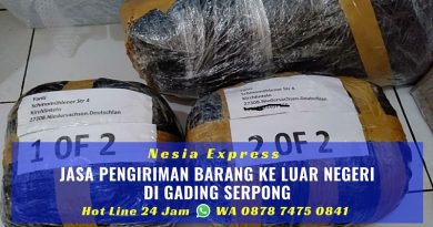 Jasa Pengiriman Barang ke Luar Negeri di Gading Serpong