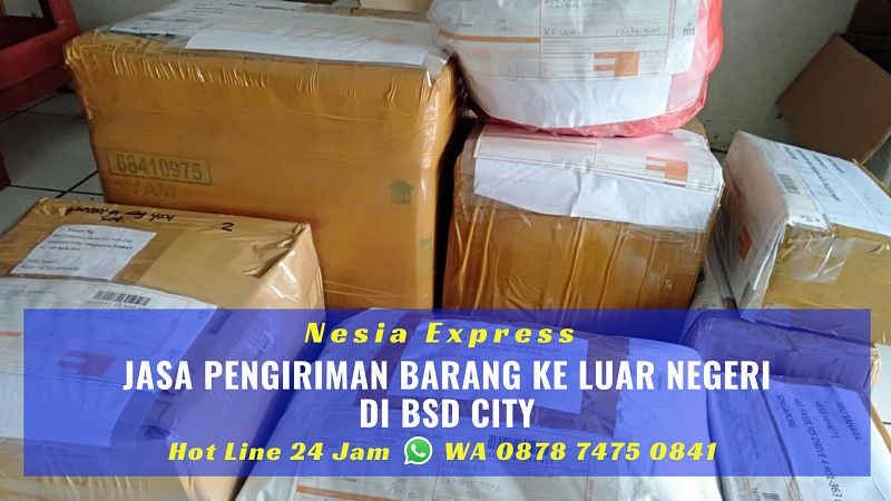 Jasa Pengiriman Barang ke Luar Negeri di BSD City Tangsel