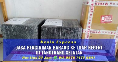 Jasa Pengiriman Barang ke Luar Negeri Murah di Tangerang Selatan