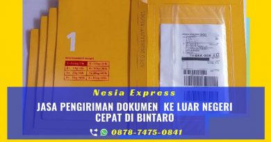 Jasa Kirim Dokumen ke Luar Negeri di Bintaro
